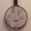 Banjo 5 cordes